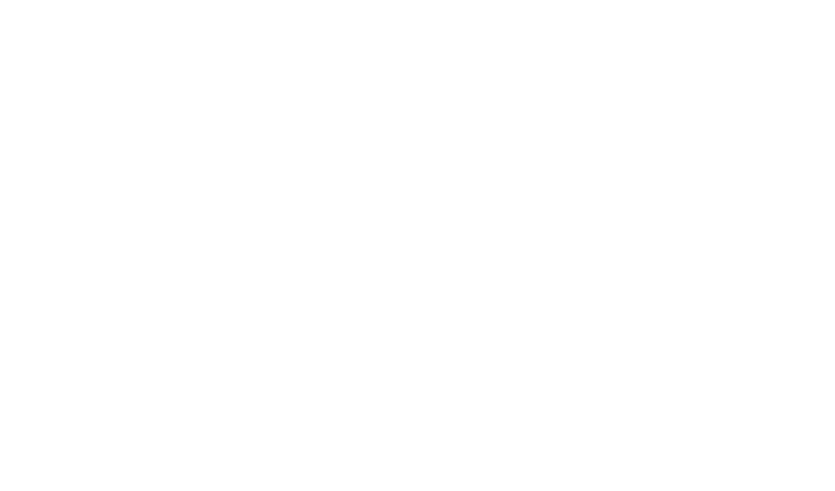 Smart clean 